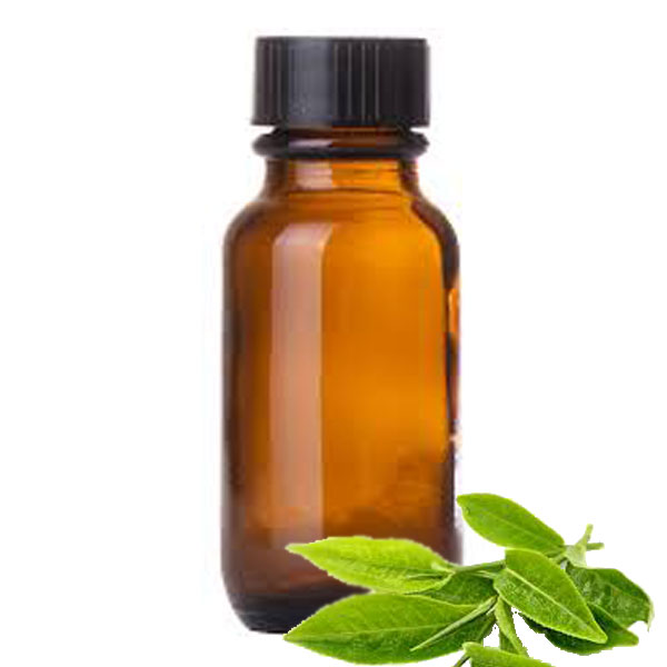 Andes Organics Pure Green Tea Oil, 1000 ml