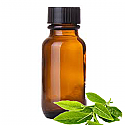 Andes Organics Pure Green Tea Oil, 1000 ml